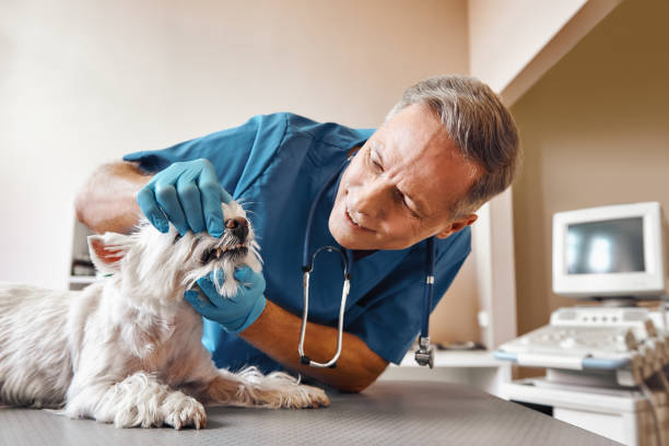 Best Emergency Root Canal Treatment in Forest Park, GA